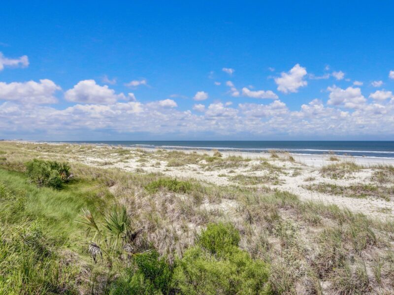 amelia 4br 3bth beachwalker oceanfront& views coastal decor full remodel 2024